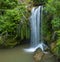 Streaming cascade water in green forest