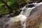 Streaming water of creek captured in long exposure