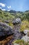 Streamlet in idyllic mountain landscape