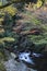 Streamlet with overflowing water from Minoh (Mino-o) waterfall