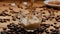 Streams of coffee and milk pour into a glass cup, filling it with an aromatic drink. Close up of a cup of coffee or milk