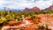 Streams and Puddles on the Red Rocks the Munds Mountain after a heavy rainfall near the town of Sedona