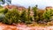 Streams and Puddles on the red sandstone hiking trails near Chimney Rock during heavy rainfall in Sedona