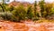 Streams and Puddles on the red sandstone hiking trails near Chimney Rock during heavy rainfall in Sedona