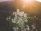 Strecno Castle, Slovakia. Historic castle in central Europe.