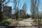 Street of the abandoned ghost town Pripyat. Overgrown trees and collapsing houses in the exclusion zone of the Chernobyl nuclear d