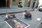 Street artist draws on the asphalt portrait of a lady with an ermine.