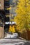 Street with aspens in Vail, Colorado