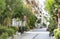 Street in Athens, buildings, parked cars, trees, summer in a res