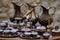 Street bazaar in Mostar with Oriental vases and dishes, Bosnia a