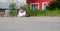 A street cat . A grey cat lies on the pavement and looks at the camera