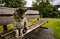 Street cat in Scottish park on rainy day.