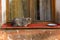 street cat sleeps on the windowsill next to an empty bowl