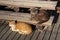 Street cats lies on the wooden steps