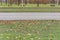 Street city road with asphalt and green lawn with cloudy sky