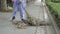 Street cleaner sweeps up leaves