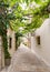 Street covered by grape leaves, Corfu, Greece