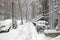 Street covered in snow after snowstorm, New York City