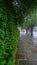 Street with drizzle and fog in the city of Gramado in Rio Grande do Sul - Rua Demetrio Pereira dos Santos