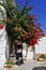 Street of Fataga, Gran Canaria, Spain