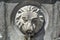 Street faucet with a lion head and water on sunny day