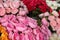 Street florist in South France, colorful fresh flowers in the main street of Cannes.