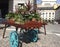 Street flower and plant barrow in Covent Garden, London