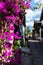 Street with flowers at Lijiang