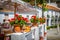 Street with flowers in the Mijas town, Spain