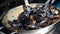 Street food mussels and shells. Cooking and mixing seafood in with spicy sauce large pan. Sale street food on local