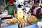 Street food vendors cook and sell deep fried chicken skin and meat at their food cart