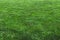 Street football outdoor game on an artificial astroturf lawn, soccer game on a pitch field with a team in a background