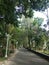 Street green trees surakarta indonesia nature garden view culture morning calm