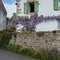 A street and houses in the village of Brittany, Ile aux Moines island in the Morbihan Gulf.