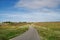 Street in Jutland, heather wilderness landscape on sunny day