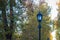 Street lamp against the trees