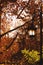 Street lamp and autumn leaves in the park