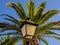 Street lamp and big palm tree - clear sky background