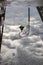 A street lamp and a cloudy sky are reflected in a puddle.