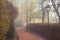 Street lamp and footpath in a foggy autumn