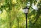 Street lamp on the green tree background