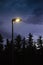 Street lamp lit at twilight with trees in the background and rain falling