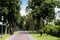 Street lamp near walkway and trees