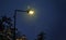 Street lamp in a snowy winter night. Warm Glow of Street Light Surrounded by Snowflakes