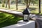 Street lamp on a trail in palm groove in Scottsdale resort