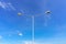 Street lamps aligned with blue sky