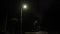 Street lamps, nighttime lighting, park lights
