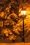 Street lantern and fir tree under the snow