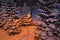 A street lantern illuminates trees covered with snow after snowfall. Winter Park