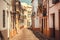 Street lanterns and doors to houses of Andalucia, Spain
